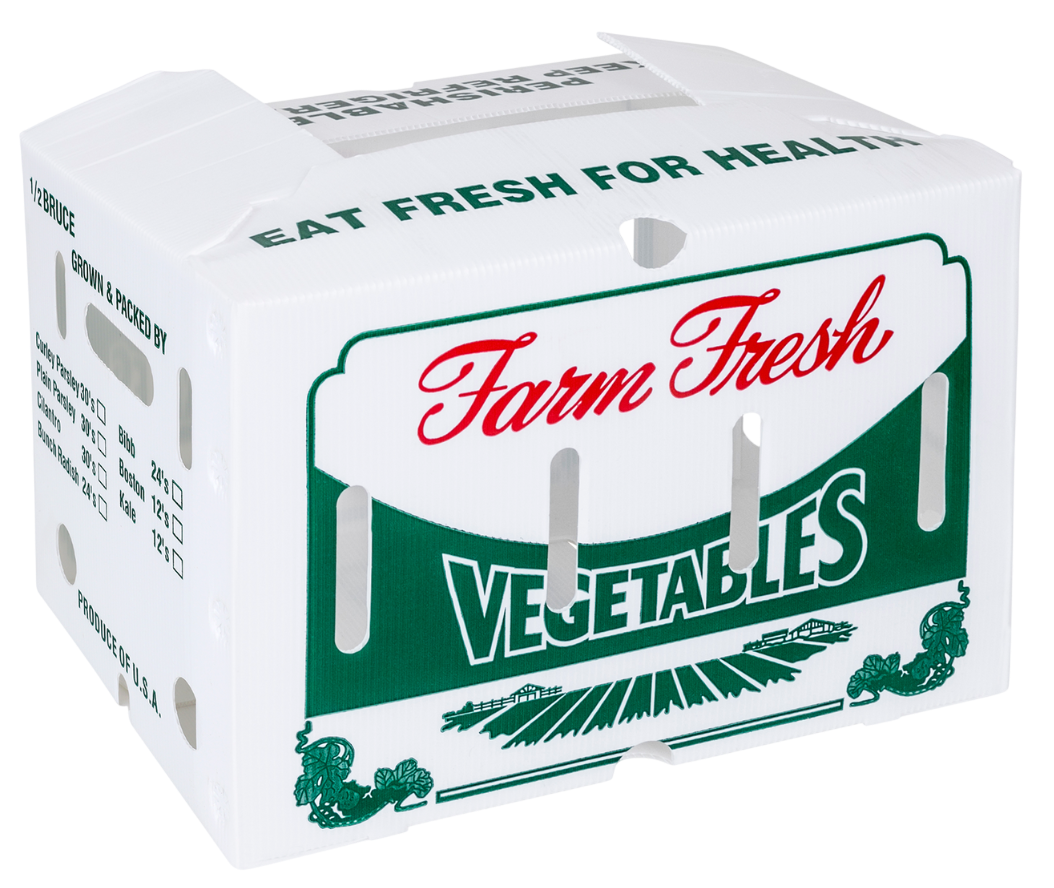 Untitled design (9)-Photoroom (1)